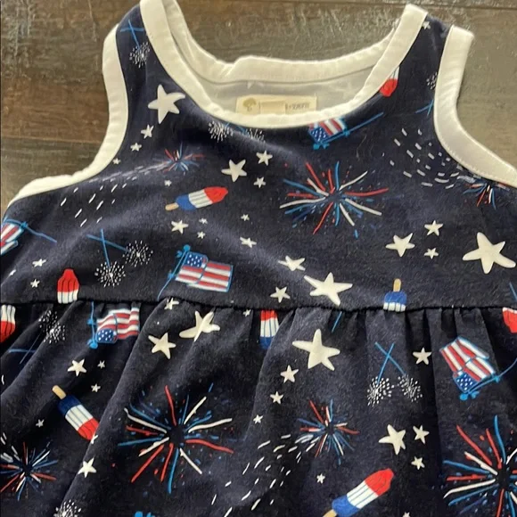 Patriotic Sleeveless Dress - Picture 4 of 4